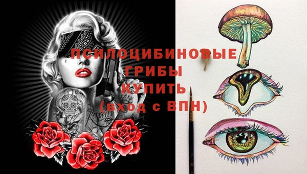 дмт Арсеньев