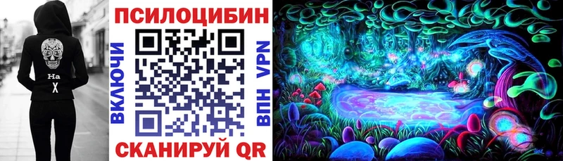 это клад  Александровское  Галлюциногенные грибы мухоморы  как найти наркотики 
