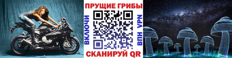 Галлюциногенные грибы прущие грибы Александровское
